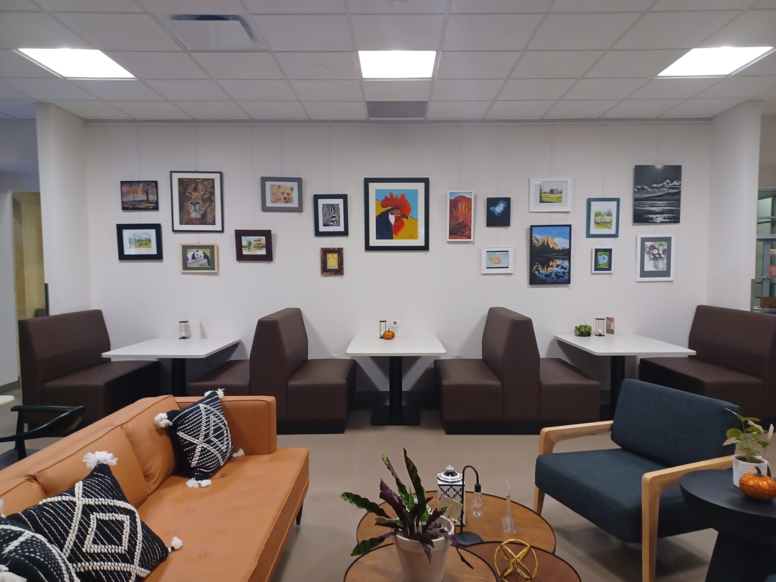 Cozy seating area in a cafe with art-adorned walls featuring diverse framed paintings and photographs.