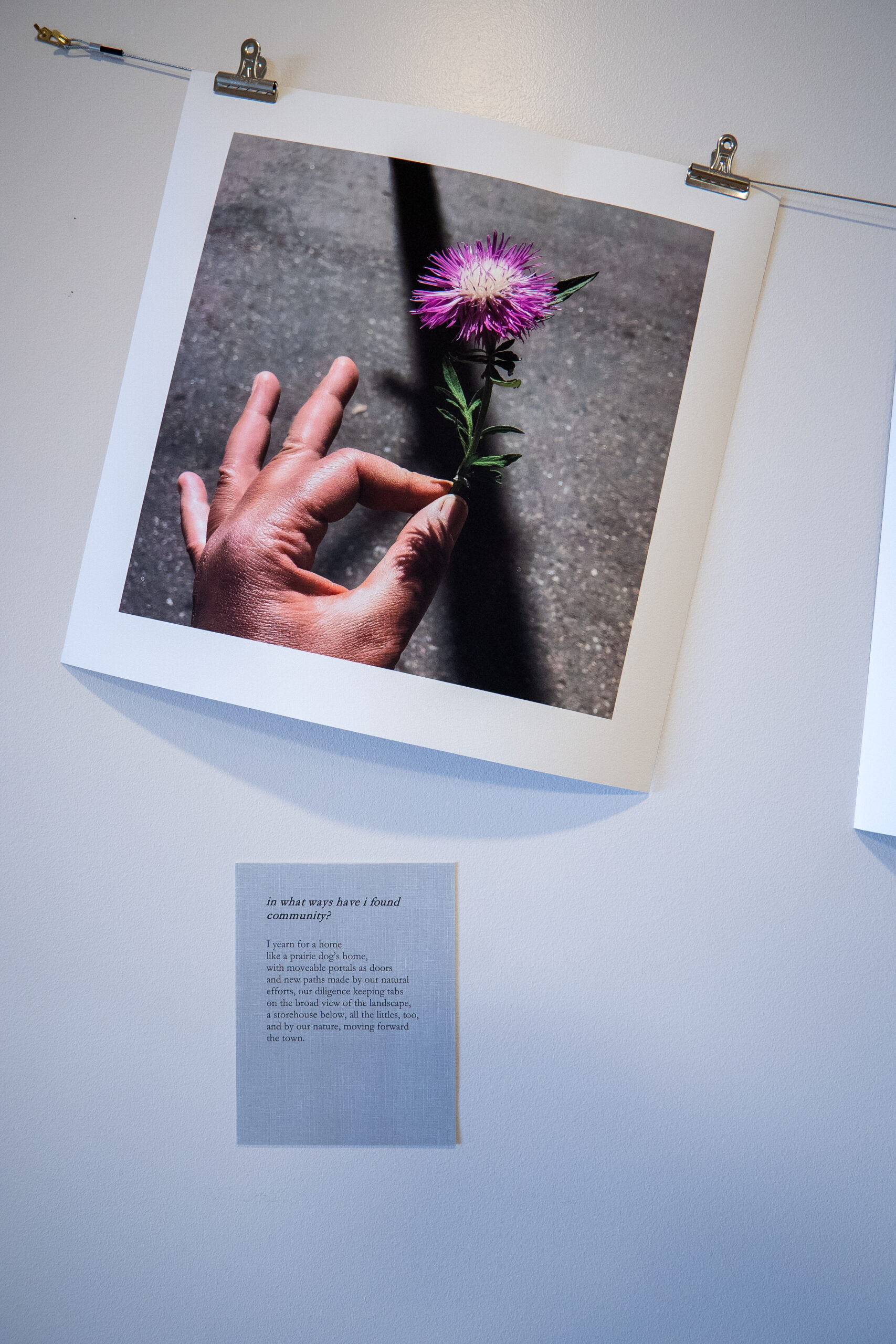 Hand holding a purple flower against a concrete background. Below, a poem titled "In what ways have I found community?" is visible.