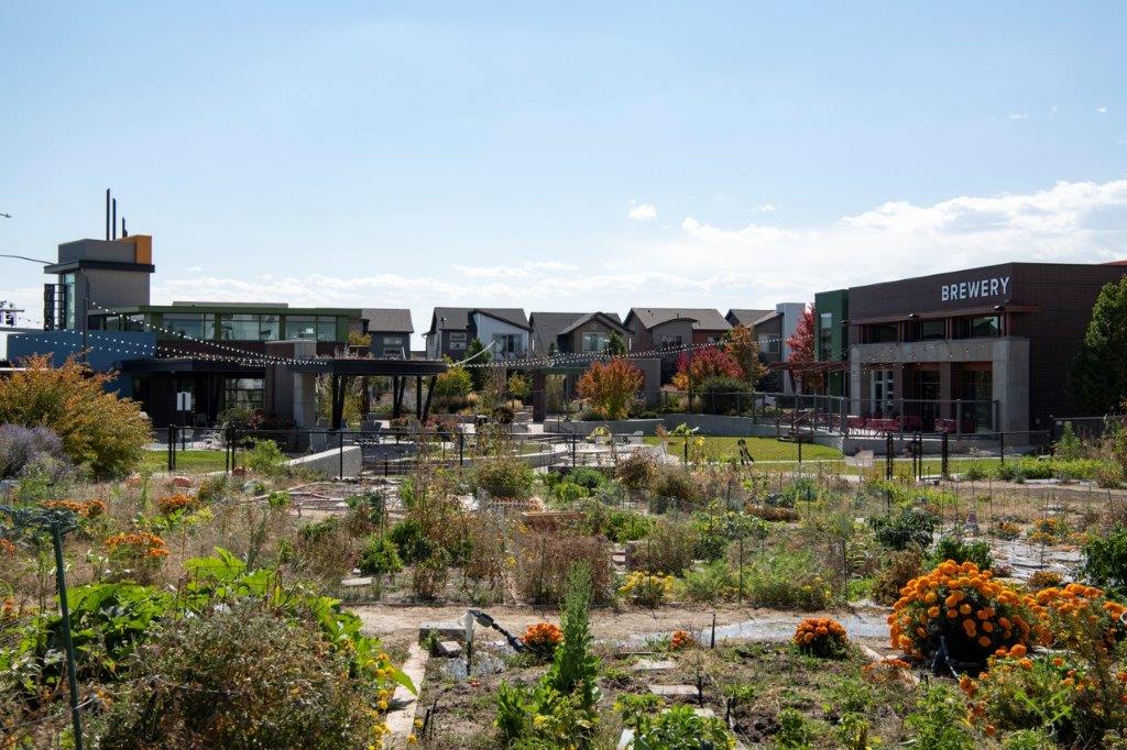 Community garden with flowers and plants in front of a brewery building