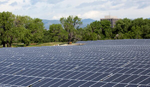Expansive field of solar panels with trees and a building in the background