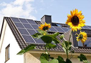 Solar panels on house roof with sunflowers in foreground