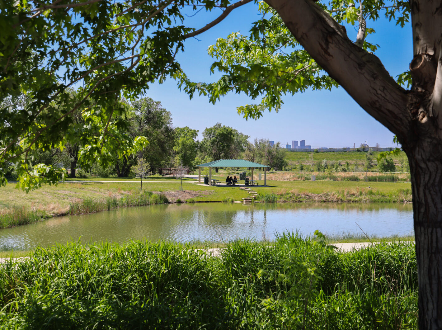 Green park with lake, gazebo, and people under trees; city skyline visible in distance