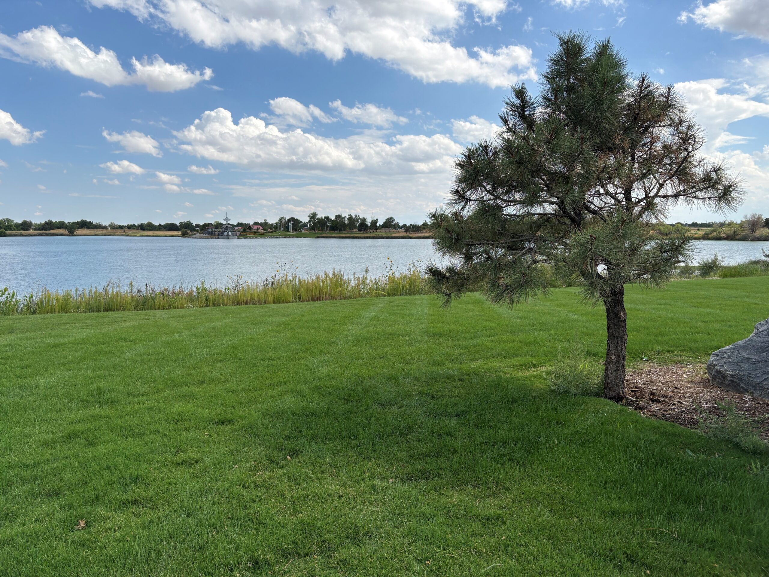 Tree in a grassy area by a lake under a cloudy blue sky.