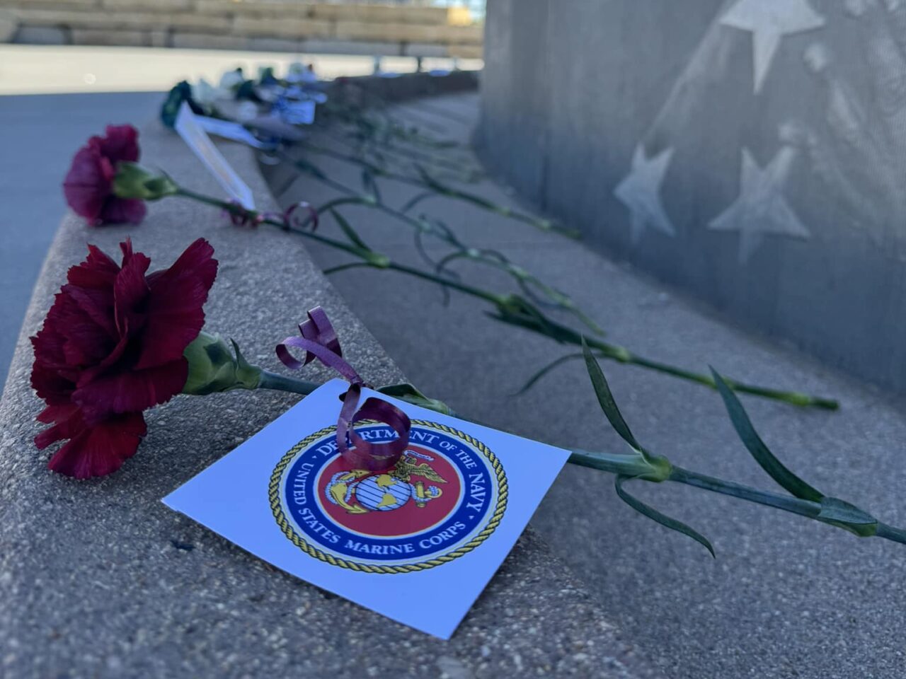 Red carnation on a ledge with a United States Marine Corps emblem card.