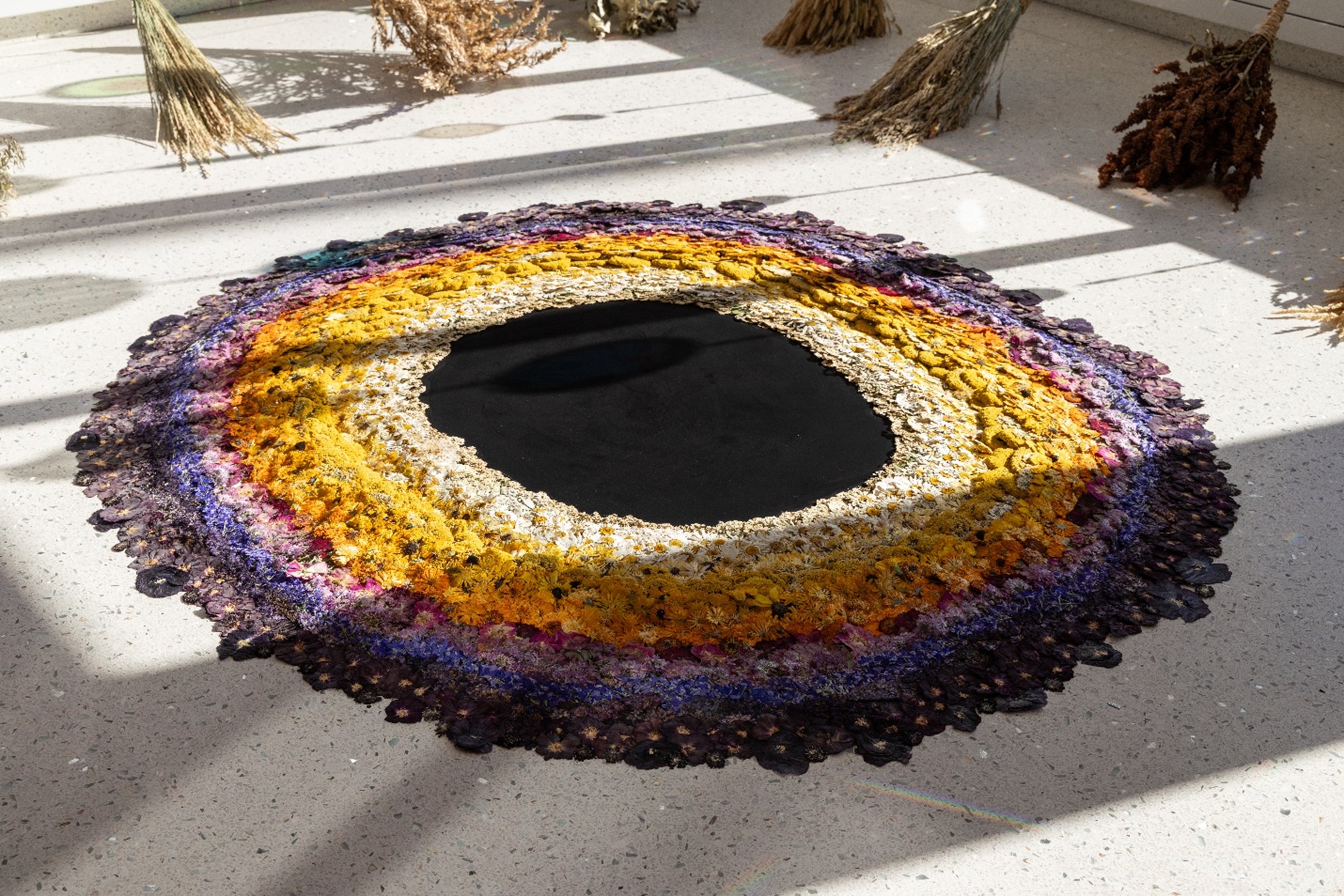 Circular arrangement of colorful dried flowers on a floor, resembling an eye with a black center and various textures