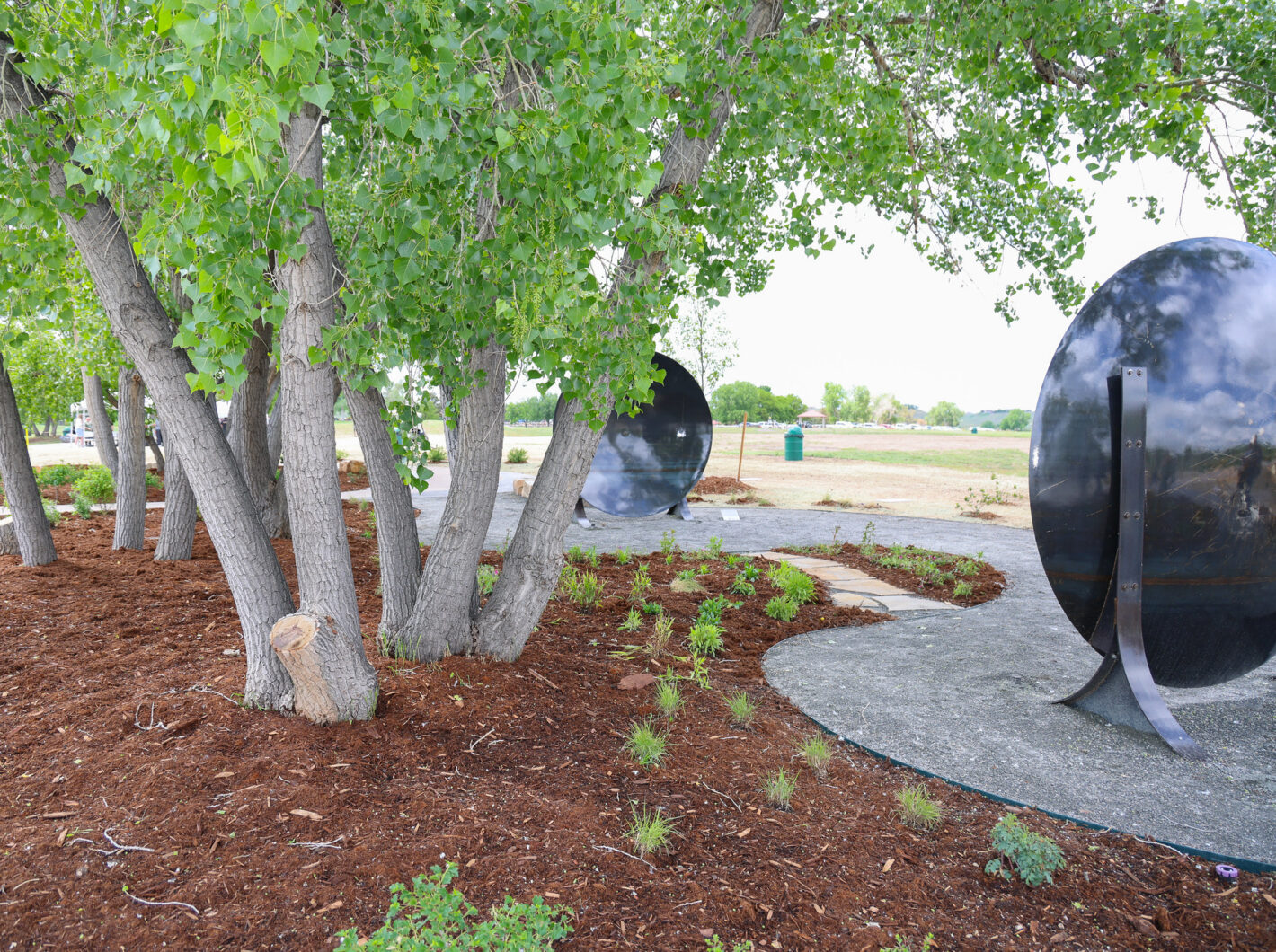 Trees surrounding large black circular sculptures in a landscaped park