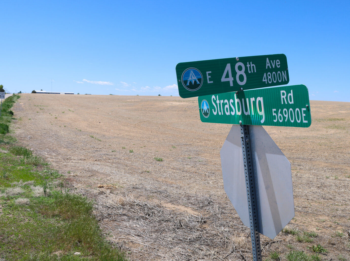 Strasburg street signs