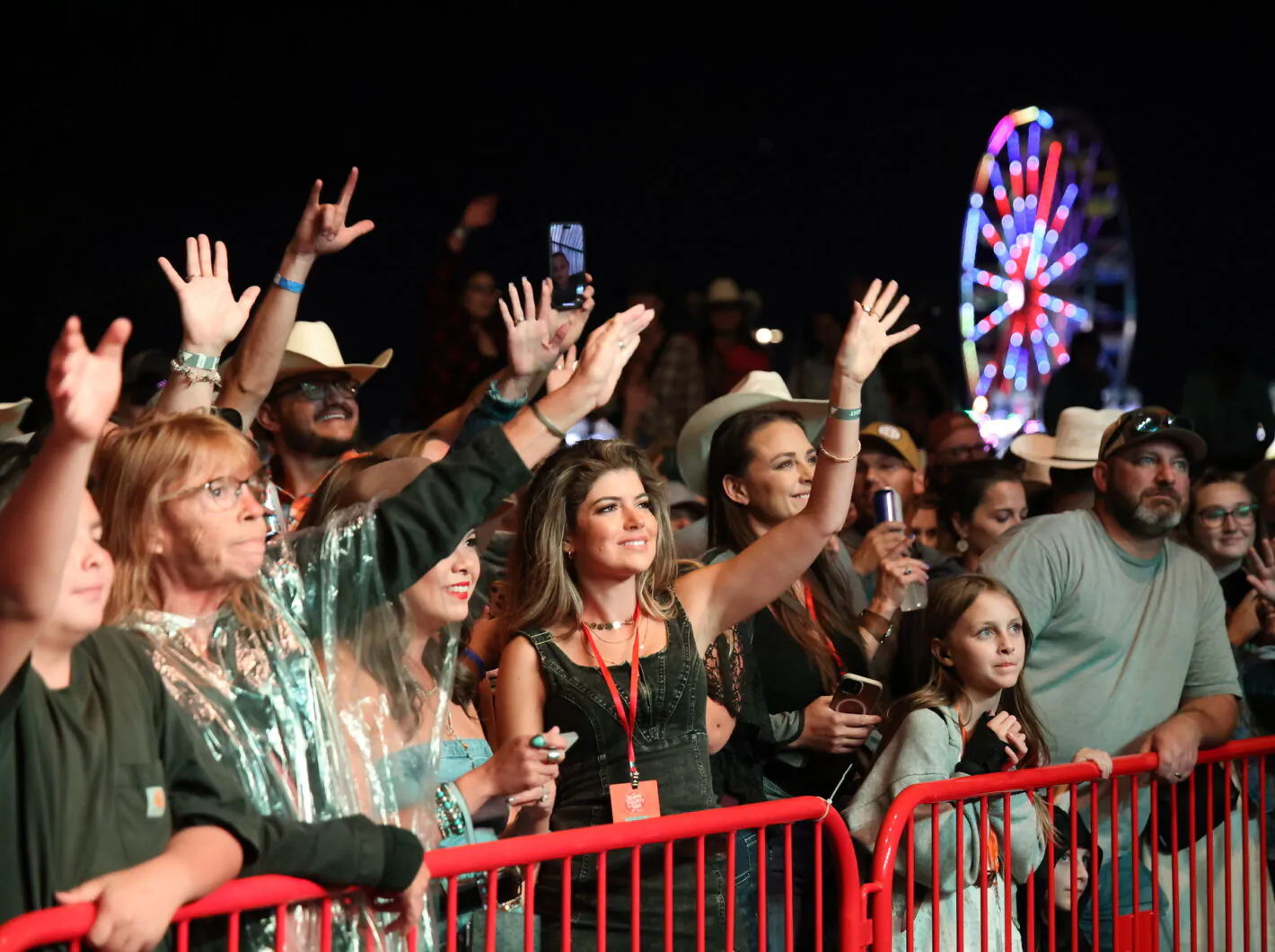 Concertgoers